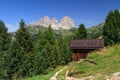 Dolomiti - Sassolungo mount from Fassa Valley, Italy