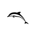 Dolphin icon to logo animal Royalty Free Stock Photo