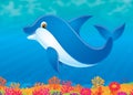 Dolphin Royalty Free Stock Photo