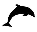 Dolphin aquatic mammal icon on white background. flat style. dolphin icon for your web site design, logo, app, UI. dolphin symbol