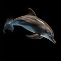 Dolphin on black background, created with generative AI