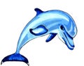 Dolphin blue color. JPEG illustration marine animals.