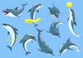 Dolphin cartoon characters set isolated on white. Sea life blue fish or wild nature animals in different poses. Vector Royalty Free Stock Photo