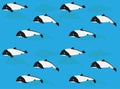 Dolphin Cartoon Commerson`s Dolphin Seamless Wallpaper Background