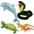 Dolphin cobra snake turtle set. vector illustrations Royalty Free Stock Photo