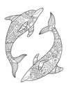 Dolphin coloring book for adults vector