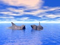 Dolphin_Couple