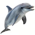 Dolphin 3D Icon isolated on transparent background Royalty Free Stock Photo