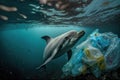 Dolphin in dirty waters fill with trash and plastic nets