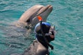 The dolphin and the diver with a mask emerged from the water. scuba diving, swimming with dolphin, snorkeling in sea or pool Royalty Free Stock Photo