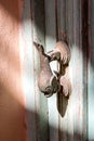 Dolphin door handle, a detail of Rethymno old town, Crete island, Greece Royalty Free Stock Photo