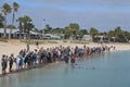 Dolphin feeding in Monkey Mia Shark Bay Western Australia Royalty Free Stock Photo