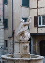 The dolphin fountain in Pignolo street, old town, Bergamo, Italy concept photo. Royalty Free Stock Photo