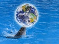 The Dolphin with a globe on his nose in blue water. save planet. Ocean or Earth day. Elements of this image furnished by NASA.
