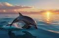 Dolphin Grace: Gliding in Open Ocean Serenity at Sunset.