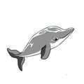 Dolphin gray color animation vector illustration logo