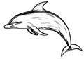 Dolphin hand drawn sketch Vector illustration Royalty Free Stock Photo