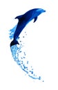Dolphin High Jump Royalty Free Stock Photo