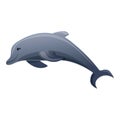 Dolphin icon, cartoon style