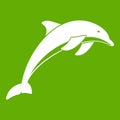 Dolphin icon green