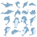 Dolphin icons set, cartoon style