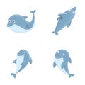 Dolphin icons set cartoon . Sea and ocean animal