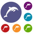 Dolphin icons set