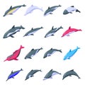 Dolphin icons set, isometric style