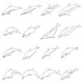 Dolphin icons set vector outline