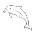 Dolphin illustration