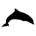 Dolphin isolated black silhouette. Side view. Marine animal. White background. Vector illustration clipart Royalty Free Stock Photo