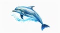 Dolphin is isolated on a white background. Mammal marine animal. Royalty Free Stock Photo