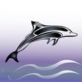 Dolphin jump Royalty Free Stock Photo