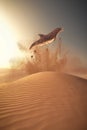 Dolphin jump desert