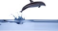 Dolphin jumping from blue water illustration Royalty Free Stock Photo