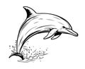 Dolphin jumping hand drawn sketch Vector Royalty Free Stock Photo