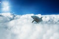 Dolphin jumping inside sea of clouds in the sky