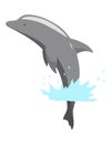 Dolphin jumping out of water animation element. Illustration of dolphin performing an acrobatic jump in the ocean. Great Royalty Free Stock Photo