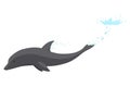 Dolphin jumping out of water animation element. Illustration of dolphin performing an acrobatic jump in the ocean. Great Royalty Free Stock Photo