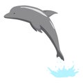 Dolphin jumping out of water animation element. Illustration of dolphin performing an acrobatic jump in the ocean. Great Royalty Free Stock Photo