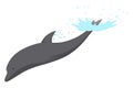 Dolphin jumping out of water animation element. Illustration of dolphin performing an acrobatic jump in the ocean. Great Royalty Free Stock Photo