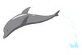 Dolphin jumping out of water animation element. Illustration of dolphin performing an acrobatic jump in the ocean. Great Royalty Free Stock Photo