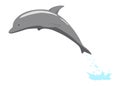 Dolphin jumping out of water animation element. Illustration of dolphin performing an acrobatic jump in the ocean. Great Royalty Free Stock Photo