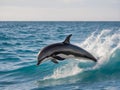 Dolphin jumping out of the water on the background