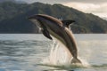 dolphin jumping out of the water in graceful leap