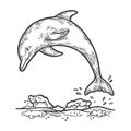 Dolphin jumping sketch engraving vector Royalty Free Stock Photo