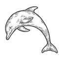 Dolphin jumping sketch engraving vector Royalty Free Stock Photo