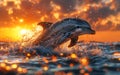 The dolphin jumps out of the water at sunset Royalty Free Stock Photo