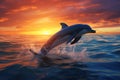 A dolphin jumps out of the water at sunset Royalty Free Stock Photo