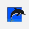 Dolphin jumps out of a water tank Royalty Free Stock Photo
